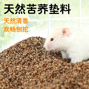 Arena de trigo sarraceno Crown Asia para hamsters, cama refrescante para animales pequeños, uso en verano - Product Image 5