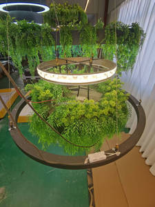 Jardinière suspendue avec lumière LED, boîte en <span class=keywords><strong>bois</strong></span> pour plantes, luminaire de culture pour la décoration de la maison et des cafés - Product Image 2