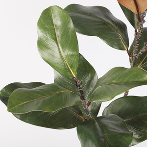 Hojas de Magnolia Artificiales de Plástico Verde de Alta Simulación con 2 Ramificaciones para Decoración de Bodas y Hogar - Product Image 2