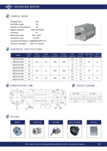 Hiệu quả cao động cơ <span class=keywords><strong>servo</strong></span> động cơ không chổi than BLDC động cơ kỹ thuật 3 giai đoạn 24VDC 48VDC 3000rpm 2.38nm 750 Wát - Product Image 2