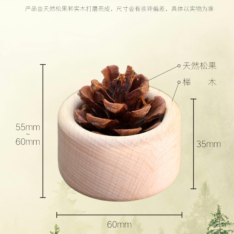 Beech, pine cone, diffuser wood