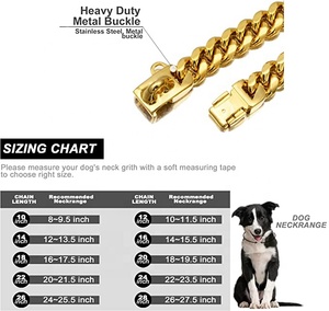 Ensemble <span class=keywords><strong>collier</strong></span> et laisse pour chien en or personnalisé <span class=keywords><strong>de</strong></span> luxe chaîne en acier inoxydable pour la formation et les soins des animaux domestiques - Product Image 4