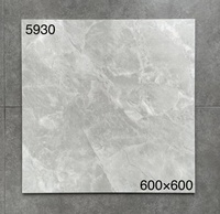Carrelage de sol en marbre moderne mat 60x60, résistant aux acides, antibactérien, pour salle de bain, carrelage de sol en céramique antidérapant pour hôtel et salon