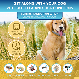 Long Lasting 8 Month <strong>Dog</strong> <strong>Flea</strong> Tick <strong>Collar</strong> Waterproof Adjustable 70cm - Safe Pest Control for Small Medium Large <strong>Dogs</strong> - Product Image 4