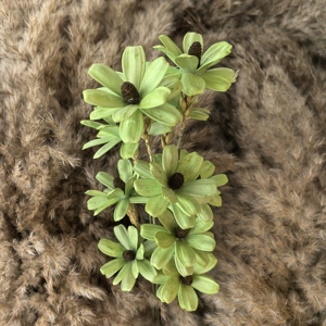 Épissage Melon <span class=keywords><strong>Graine</strong></span> <span class=keywords><strong>Fleur</strong></span> Usine En Gros Graines <span class=keywords><strong>De</strong></span> <span class=keywords><strong>Tournesol</strong></span> Plantation <span class=keywords><strong>Fleur</strong></span> <span class=keywords><strong>Fleur</strong></span> Sec <span class=keywords><strong>Fleur</strong></span> Cadeau pour La Maison/Arrangement <span class=keywords><strong>De</strong></span> Mariage - Product Image 5
