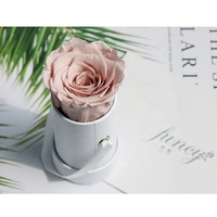 Vente en gros de roses éternelles stabilisées de luxe, roses éternelles pour la Saint-Valentin, grande boîte de fleurs éternelles, plantes décoratives