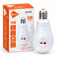 IP54 6500K Lithium-Batterie AC85-265V Superhelle Hochwertige Camping- und Notfall-USB-Aufladbare 30W LED-Glühbirne