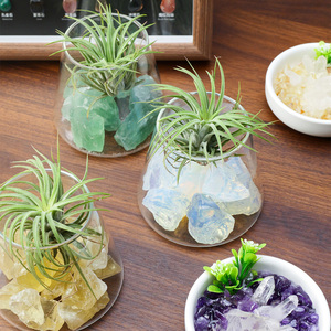 Kit de terrarium en <span class=keywords><strong>pierre</strong></span> brute de cristal naturel en gros pour plantes <span class=keywords><strong>a</strong></span>ériennes, idéal pour la décoration de bureau à domicile et comme cadeau de guérison spirituelle - Product Image 1