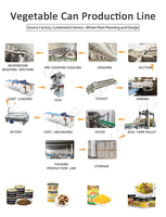 Machine de remplissage de légumes marinés LWT Ligne de traitement des cornichons Bouteille Chaîne de production de choucroute kraut Équipement d'emballage