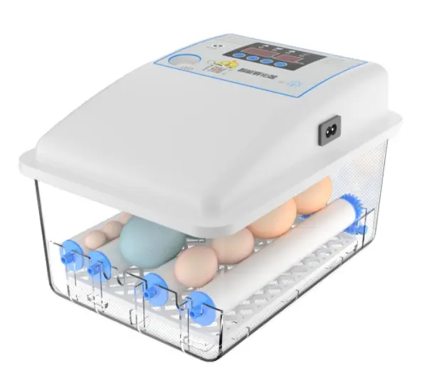 夫の家庭用12個の卵容量デュアルパワー卵インキュベーター卵孵化機