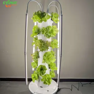 Kleine Aeroponische Toren Automatische Irrigatie Groeiende Toren Tuinsysteem Indoor/Outdoor Verticaal Landbouwsysteem Voor Kas