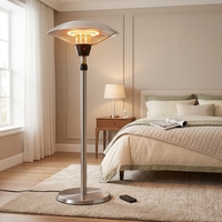 Chauffe-terrasse infrarouge personnalisable avec télécommande, type plafond/sol, adapté aux terrasses extérieures et au chauffage domestique intérieur.