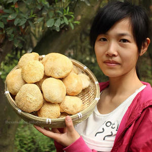 אריות אורגניות מנה 5-8 ס "מ הסיטונאי המיובש מאכל פטריות טבעוני מזין טבעי עבור תוספת אבקת תמצית קפה - Product Image 1