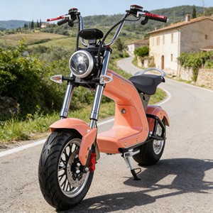 Nuovo Arrivo: Scooter Elettrico con Batteria al Litio per Adulti, Ideale per Spostamenti Urbani - Product Image 1