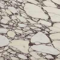Comptoirs de cuisine préfabriqués en pierre de quartz Calacatta Viola 110 "X26"