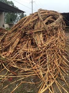 Furniture Outdoor Sofa Natural Rattan Strips Material - Wholesale 18mm to 50mm Rattan Manau <b>Cane</b> Poles - Product Image 5