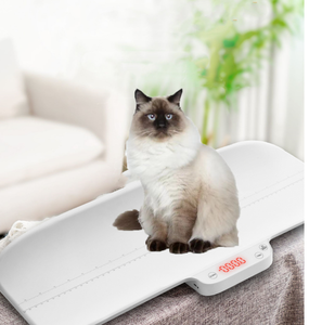Balance numérique de haute précision pour bébé, alimentée par piles, capacité de 30 kg, surveillance quotidienne du poids du nourrisson, soins du nouveau-né, famille, bébé - Product Image 1