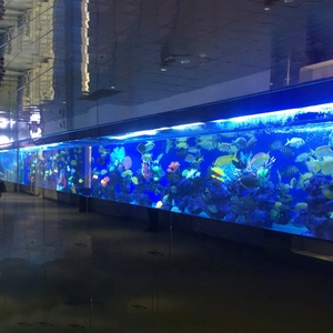 Groot Gebogen Transparant Acryl Aquarium <span class=keywords><strong>Canada</strong></span> 40Mm 50Mm 70Mm Acryl Aquarium Tank Zoutwater Acryl - Product Image 2