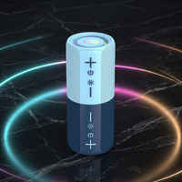 TG491 Enceinte sans fil magnétique 2-en-1 détachable, son stéréo 20W, audio TWS avec lumière RGB, autonomie 8H pour la maison