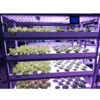 Système de culture microverte agricole pour serres hydroponiques en conteneur de 40 pieds