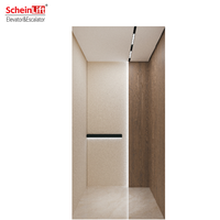 Ascensore Passeggeri SL-1011 in Acciaio con Finitura Sabbiata Eco-Friendly, Design Moderno, Azionamento a Trazione, Compatibile 220V/380V, 1 Anno di Garanzia