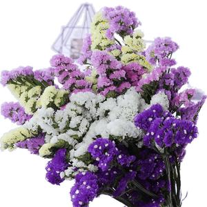 Bouquet de fleurs séchées naturelles non teintes, <span class=keywords><strong>souffle</strong></span> de bébé et mignonnette, pour décoration intérieure - Product Image 5