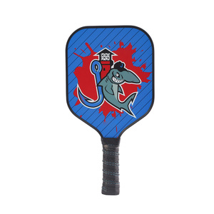 Kit de Pickleball Professionnel pour Jardin avec Raquettes, Balles et Sac – Idéal pour la Famille et les Jeux en Extérieur - Product Image 3