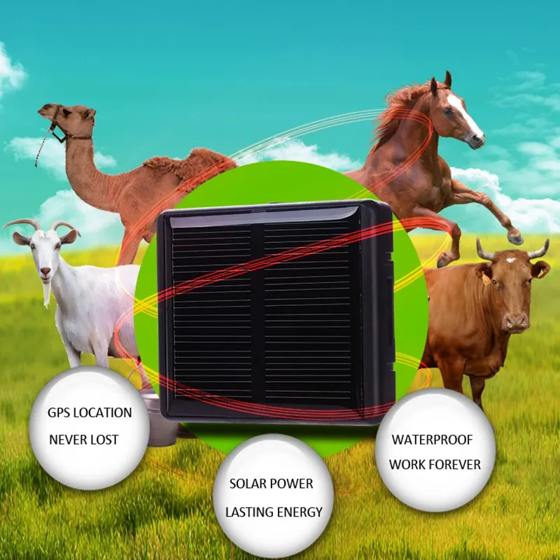 Mini GPS Tracker for Big Animal Cow Horse Waterproof Anti-lost Tracker Locator 