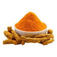 Poudre de curcuma de qualité alimentaire en gros, poudre de rhizome finement moulue pour usage en usine alimentaire