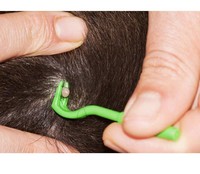 Puce dissolvant crochet tique pince à épiler tique tique tirer animal de compagnie chat chien tique outil acariens pour animaux de compagnie extracteur de puces fournitures pour animaux de compagnie