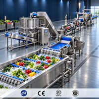 Automatische fruit- en groentesap puree verwerkingslijn voor mango, appel en ananas