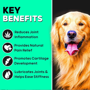 OEM/ODM Probiótico Natural Gota Suave Mastica Alimentos para Mascotas y Suplemento Perro Golosinas Proveedores de Snacks PARA LA Salud Intestinal DE LAS Mascotas - Product Image 4