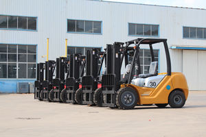 Carrello Elevatore Diesel Iso Ce 3030 con Cabina Chiusa, Motore a Combustione Interna, Gas GPL, Fuoristrada 4x4, Movimentatore Telescopico VNA - Product Image 4