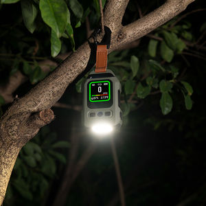 Ev & Rv yanıcı gaz için karbon monoksit dedektörü ile fonksiyonel taşınabilir Led kamp ışık - Product Image 1