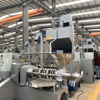 Iso9001 Gecertificeerde Multifunctionele Automatische Schroefoliepersmachine Koud Warm Voor Amandel/Walnoot/Olijf Voor Soja-En Sesamolie