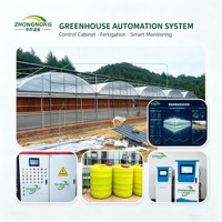 Serre tunnel commerciale en polyéthylène avec structure en acier galvanisé et film plastique pour la culture de tomates, légumes et fraises