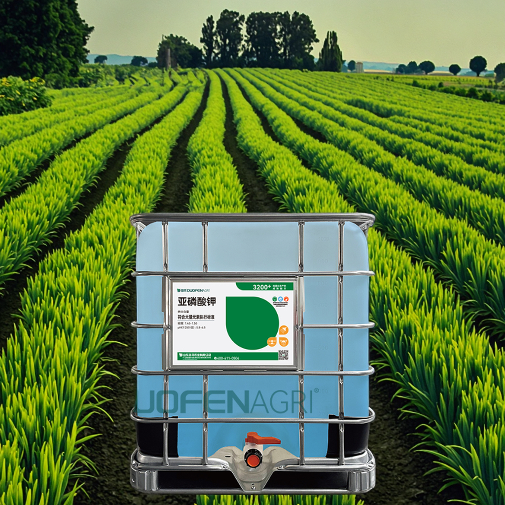 Wholesale Potassium Phosphite Liquid 0-52-34 Fertilizer image 2