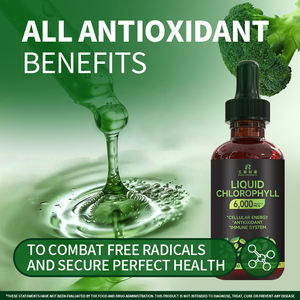 OEM/ODM buona vendita clorofilla a base di erbe gocce di integratori antiossidanti per adulti riduce l'alito cattivo e l'odore del corpo - Product Image 4