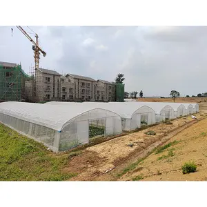 Hochwertiges großes einzelspannungs-gemüsespiegel- gewächshaus für landwirtschaftlichen gebrauch