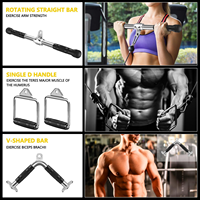VIGFIT Corde de triceps portable et durable en acier allié et caoutchouc, équipement d'entraînement de musculation Big Bird Gym, accessoires de fitness