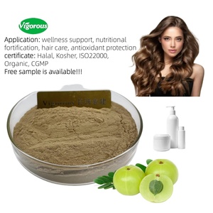 Natural Organic Emblica Officinalis <strong>Amla</strong> Fruit <strong>Powder</strong> <strong>Amla</strong> Extract <strong>Powder</strong> For Hair Growth Hair Care - Product Image 1