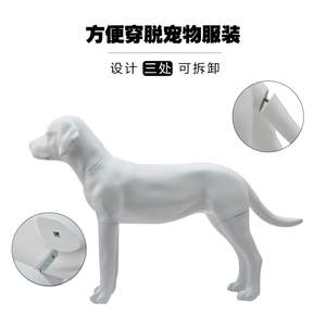 Ornement de chien en résine blanche grandeur nature, décoration de vitrine de magasin de vêtements pour animaux, sculpture d'animaux, modèle de chien Labrador en résine - Product Image 4
