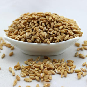 Trigo Crudo Seco Fu <span class=keywords><strong>Xiao</strong></span> <span class=keywords><strong>Mai</strong></span>, Trigo Encogido, Trigo Claro para Hierbas - Product Image 2