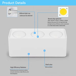 <span class=keywords><strong>ไฟ</strong></span><span class=keywords><strong>ดาวน์</strong></span><span class=keywords><strong>ไล</strong></span><span class=keywords><strong>ท์</strong></span> LED COB แบบหล่อขึ้นรูปด้วยอลูมิเนียม ติดตั้งบนพื้นผิว ขนาด <span class=keywords><strong>6</strong></span> <span class=keywords><strong>นิ้ว</strong></span> แสงสีขาว สำหรับติดตั้งบนเพดาน โรงแรม ภายในบ้าน - Product Image 4