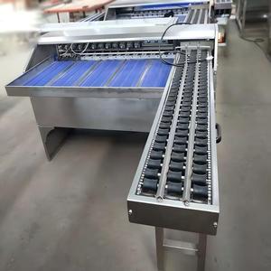 La machine de <span class=keywords><strong>tri</strong></span> d'œufs la plus pratique, machine de <span class=keywords><strong>tri</strong></span> et de scellage d'œufs, machine de <span class=keywords><strong>tri</strong></span> d'œufs automatique - Product Image 4