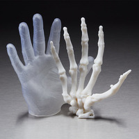 Dongguan linghang-3d Pas Cher 3d En Plastique Impression pour Le Système Circulatoire Coeur 3D modèle Service