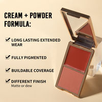 Palette de Fard à Joues Crème-Poudre Chaude de Luxe Dorée, 10 Nouvelles Teintes, Logo Personnalisé, Longue Tenue, Fini Mat & Lumineux, Vibrante, 2 en 1