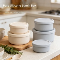 Boîte à lunch en silicone, compatible micro-ondes, hermétique, avec couvercle épaissi, portable, de qualité alimentaire, design moderne et minimaliste, individuelle