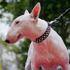 Collar de piel sintética con tachuelas para perro, accesorio de moda, suave, ajustable, con tachuelas, para exteriores - Product Image 6