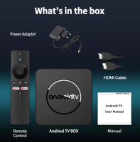 Boîtier décodeur intelligent 4K Android 14 Q1 Mortal personnalisable pour fabricants OEM, Allwinner H313, Wi-Fi double bande 5G, Quad Core, Ethernet, Commande vocale